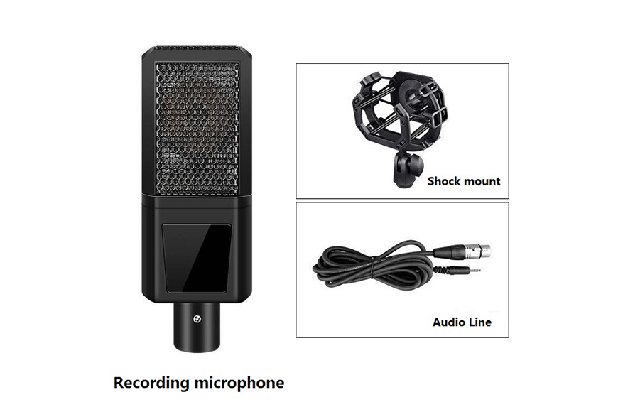 CK270 Computer microphone set