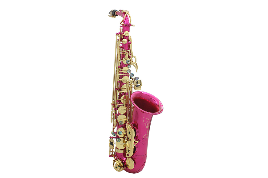 Saxophones Pink Alto Sax EB Saxophone Wind Instrument Saxophone Alto  Professional Sax Musical Instrument : : Musical Instruments, Stage  & Studio