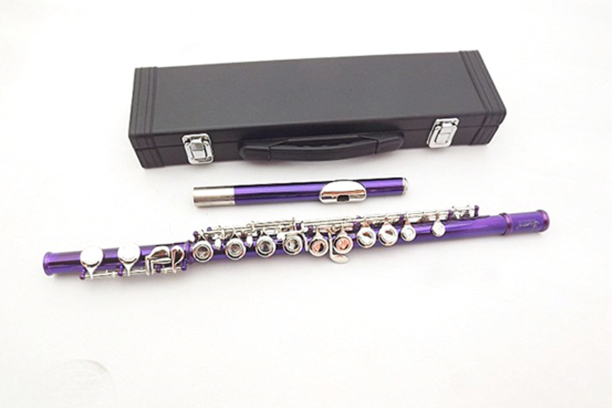 ZYFL-305  16 holes C key colored flute